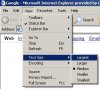 Internet Explorer - Change Text Size.JPG
